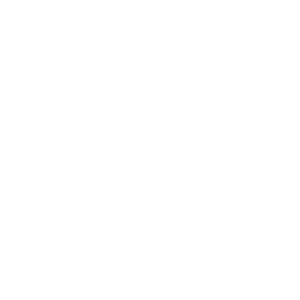 white-logo